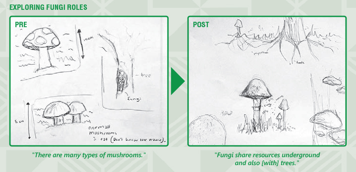 WeSTEM Exploring Fungi Art Evaluation